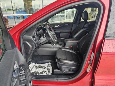 2024 Ford ESCAPE STLINE