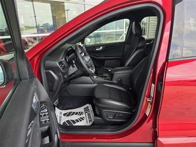 2023 Ford Escape STLINE