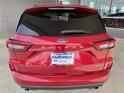 2023 Ford Escape STLINE