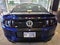 2013 Ford Shelby GT500 Base