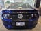 2013 Ford Shelby GT500 Base