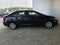 2024 Toyota Corolla Hybrid XLE